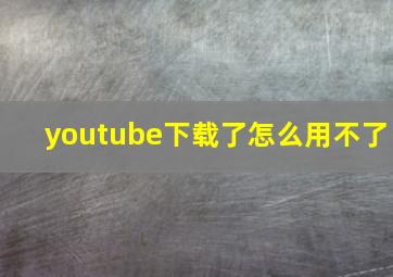 youtube下载了怎么用不了