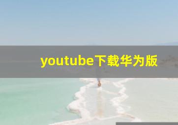 youtube下载华为版