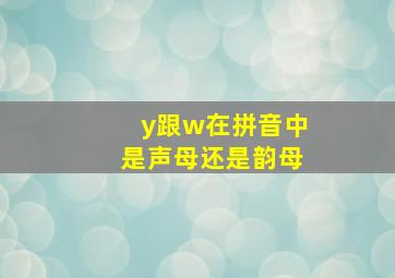 y跟w在拼音中是声母还是韵母