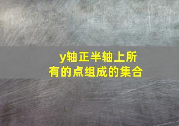 y轴正半轴上所有的点组成的集合