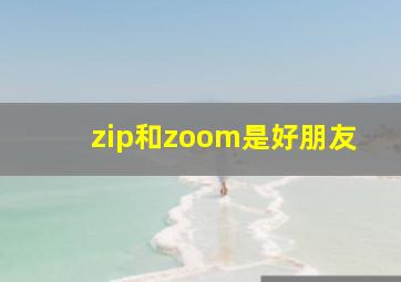 zip和zoom是好朋友