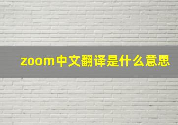 zoom中文翻译是什么意思