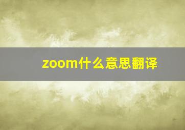 zoom什么意思翻译