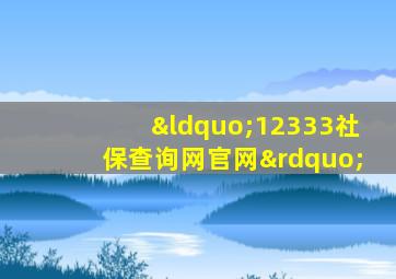 “12333社保查询网官网”