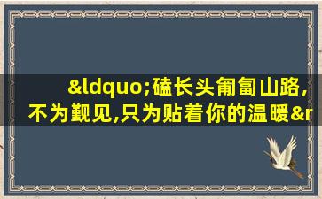 “磕长头匍匐山路,不为觐见,只为贴着你的温暖”