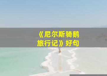 《尼尔斯骑鹅旅行记》好句