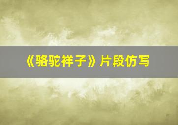 《骆驼祥子》片段仿写