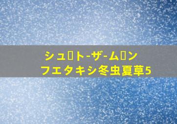 シュート-ザ-ムーンフエタキシ冬虫夏草5