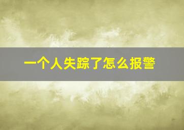 一个人失踪了怎么报警