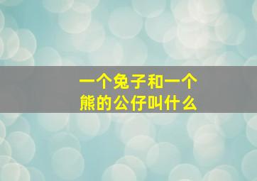 一个兔子和一个熊的公仔叫什么