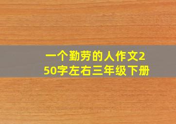 一个勤劳的人作文250字左右三年级下册