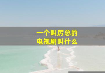 一个叫厉总的电视剧叫什么