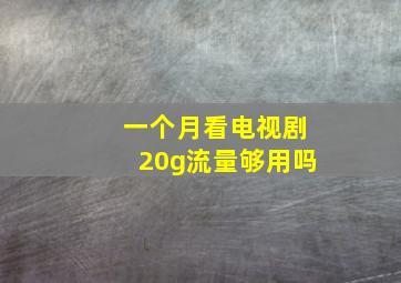 一个月看电视剧20g流量够用吗