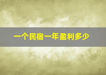 一个民宿一年盈利多少