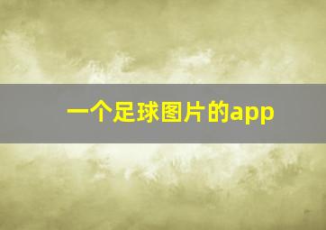 一个足球图片的app