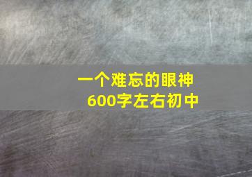 一个难忘的眼神600字左右初中