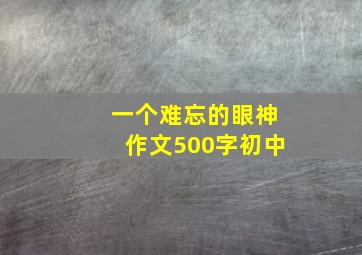 一个难忘的眼神作文500字初中