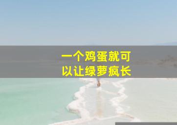 一个鸡蛋就可以让绿萝疯长