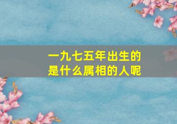 一九七五年出生的是什么属相的人呢