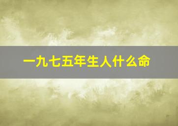 一九七五年生人什么命