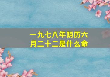 一九七八年阴历六月二十二是什么命