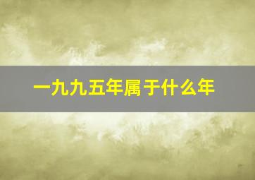 一九九五年属于什么年