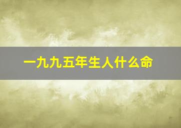 一九九五年生人什么命