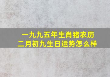 一九九五年生肖猪农历二月初九生日运势怎么样