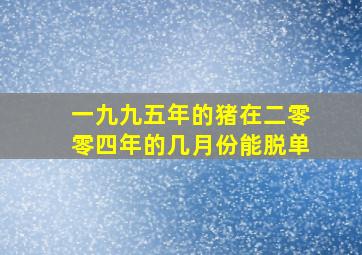 一九九五年的猪在二零零四年的几月份能脱单