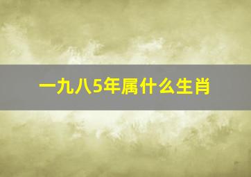 一九八5年属什么生肖