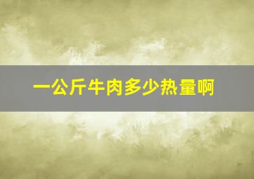 一公斤牛肉多少热量啊