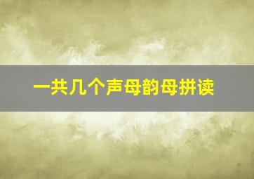 一共几个声母韵母拼读