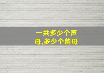 一共多少个声母,多少个韵母