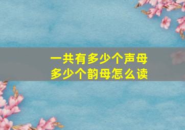 一共有多少个声母多少个韵母怎么读