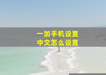 一加手机设置中文怎么设置