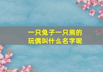 一只兔子一只熊的玩偶叫什么名字呢