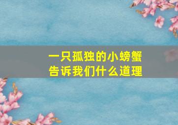 一只孤独的小螃蟹告诉我们什么道理