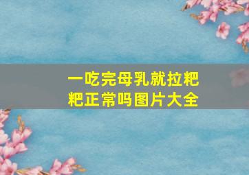 一吃完母乳就拉粑粑正常吗图片大全