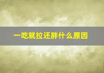 一吃就拉还胖什么原因