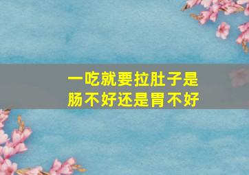 一吃就要拉肚子是肠不好还是胃不好