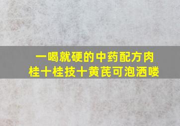 一喝就硬的中药配方肉桂十桂技十黄芪可泡洒喽