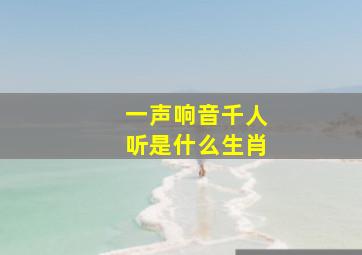 一声响音千人听是什么生肖