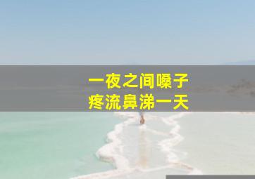 一夜之间嗓子疼流鼻涕一天