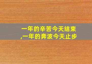 一年的辛苦今天结束,一年的奔波今天止步