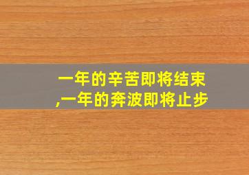 一年的辛苦即将结束,一年的奔波即将止步