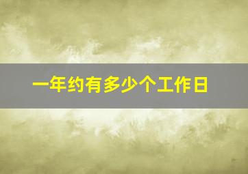 一年约有多少个工作日