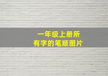 一年级上册所有字的笔顺图片