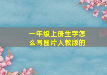 一年级上册生字怎么写图片人教版的