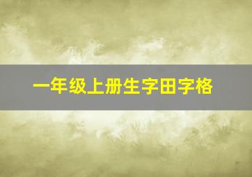 一年级上册生字田字格