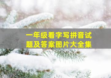 一年级看字写拼音试题及答案图片大全集